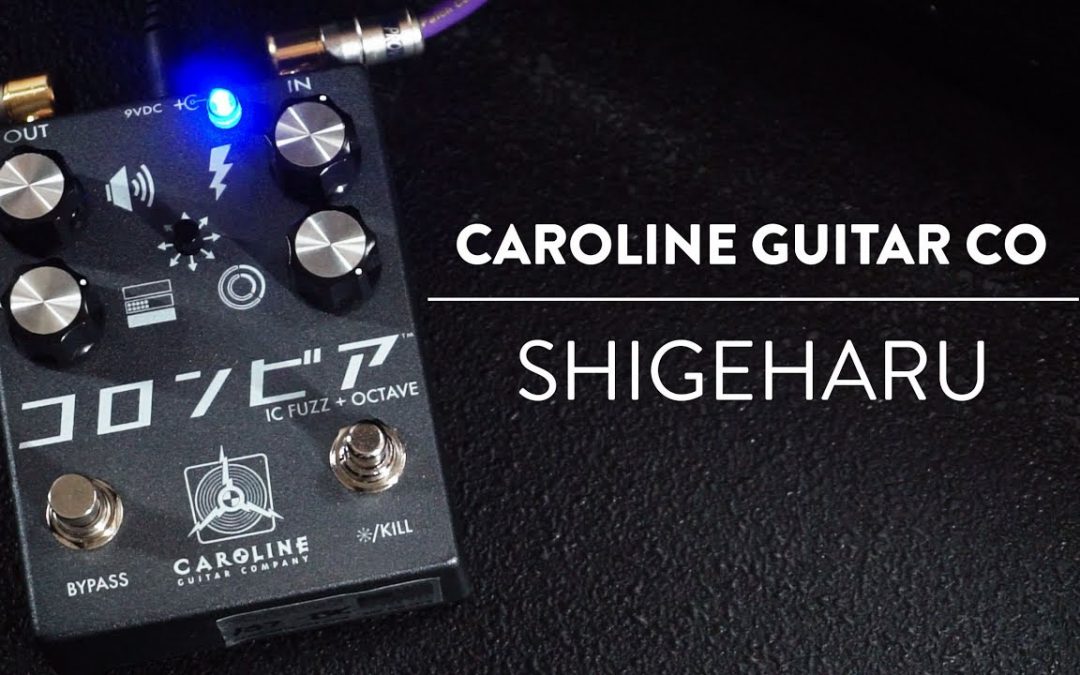 Caroline Guitar Company Shigeharu Fuzz Demo