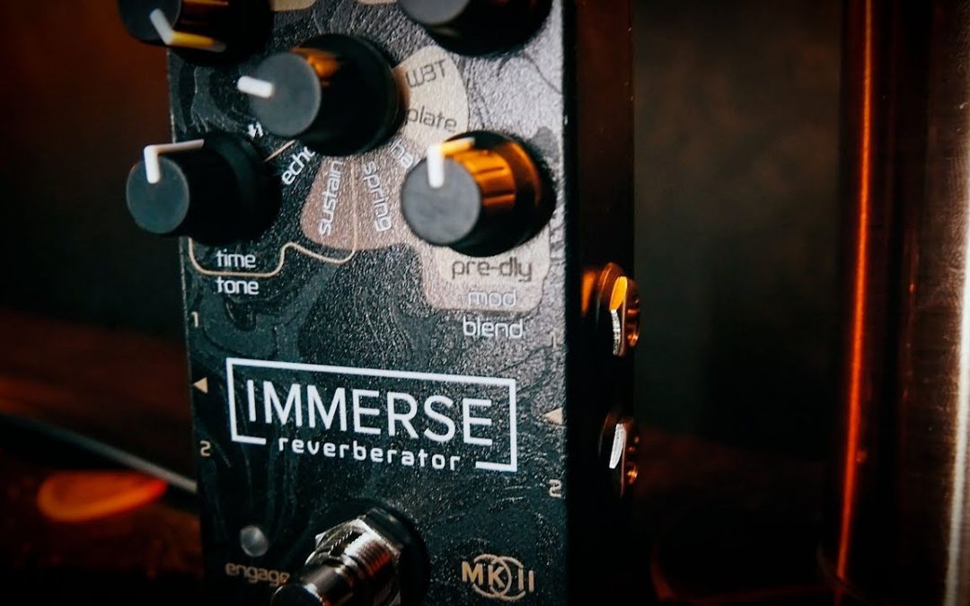 Quick Hit: Neunaber Immerse MkII in Stereo