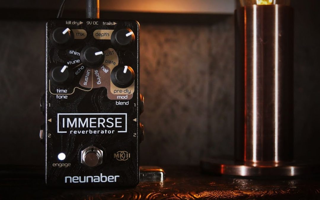 Neunaber Immerse Reverberator MkII – Stereo Demo