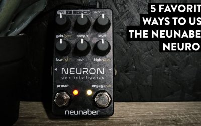 Neunaber Neuron Gain Intelligence - Digital Dirt Done RIGHT!