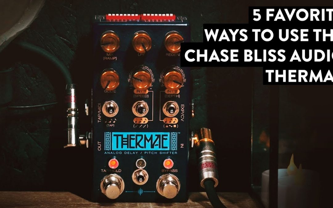 Chase Bliss Audio Thermae Analog Delay/Pitch Shifter Demo