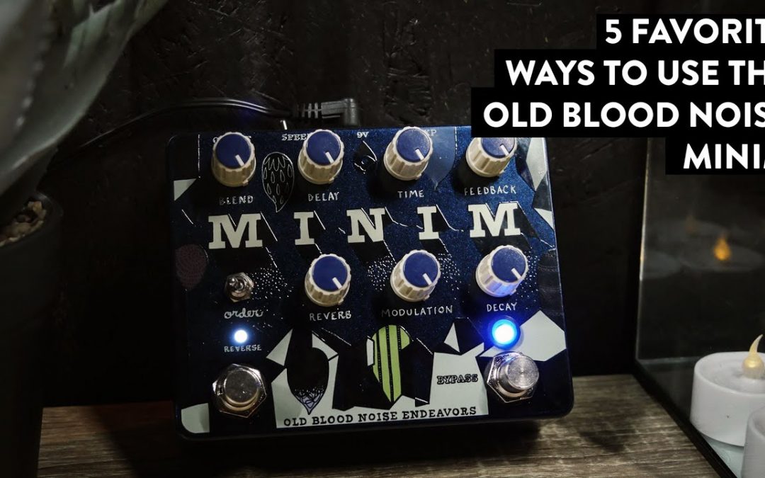 Old Blood Noise Endeavors Minim Reverb/Delay and Reverse – Your Ambient Dream Machine