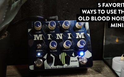 Old Blood Noise Endeavors Minim Reverb/Delay and Reverse - Your Ambient Dream Machine