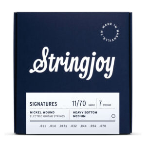Stringjoy Signatures 7-String Heavy Bottom Medium 11-70